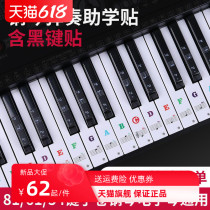 Piano Sticker Electronic Organ Five Line Score Profile Sound Scale 88 Key 61 Key 54 Key 54 Key Stick Note Press Key Sticker