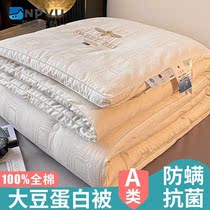 NPVB antibacterial A class of all-cotton thickened quilt quilted by the core spring and autumn by soybean fiber by winter quilted by cotton quilted by all seasons