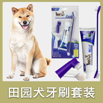 Dog special toothbrush package puppy toothpaste brush teeth with teeth cleaning products finger sleeve