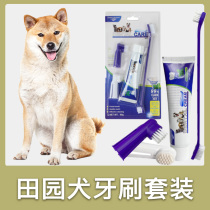 Dog special toothbrush package puppy toothpaste brush teeth with teeth cleaning products finger sleeve