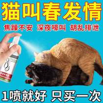 Kitty Hair Forbidden Pink Mother Cat Public Cat Pet Exclusive Suppression Erotic cat called Meow Silence Neuter SPRAY