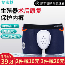 Cut Circumcision Postoperative Protection Pants Cover Stem Armchair Postoperative Protective Sheath Medical Special Inner Pants Children Adults