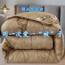 (ultra-warm camel quilted) Thickened Warm Quilt Autumn winter paragraph Moose quilted by speed heat quilted with core bedding Dormitory Students