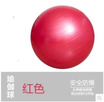 Professional rehabilitation training ball yoga ball children's brain sensory balance pasteurized ball premature cage ball pump