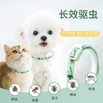 Kitty insect repellent collar deluds to anti-lice supplies in vitro dog collar neck laps small dogs except flea cat circle pets