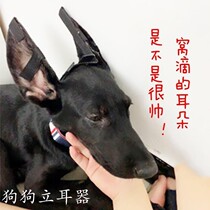 Ear erect puppies puppy dog ear auxiliary ear patch Durbin Black Wolf Dog German Shepherd Ear Holder Ear Correction