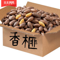 2021 New Torreya Torreya Shengzhou Zhuji Fengqiao Torreya containing tank 1000g 500g 250g gift box torreya fruit