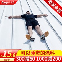 Insulation paint floor roof glass iron steel tile sunscreen non-hot paint waterproof roof reflective insulation coating