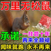 Anti-squirrel anti-squirrel anti-squirrel eating walnut orchard corn field peanuts to drive squirrel essence package squirrel medicine