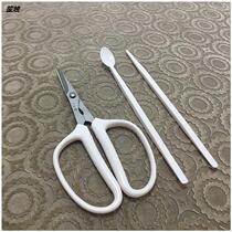 Stainless steel crab scissors set of three-piece eating hairy crab tool clamp crab removing crab scissors peeling crab