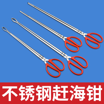 Stainless steel yellow eel clips eel fish clip Nip Clay pliers Anti-slip anti-remove and catch a special tool to catch the sea deity
