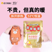 (1197 Hemerocallis) silicone hand warm egg replacement core hand warm treasure self-heating warm baby replacement core warm hand sticker