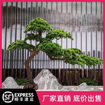Simulation of welcome guest loose room inside and outside decoration building simulation tree green plant Pine Fake Beauty Pine large floor swing piece