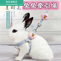 Rabbit Traction Rope Slip Rabbit Rope Outside Rope Anti-Escape Adjustable Slip Rabbit God Instrumental Young Rabbit Pet Dutch Pig