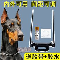 Dubin Special Earner Dubin Dog Puppies Puppies Ear Correction Fixer God Instrumental Aid Sends Glue