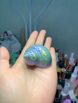 Home crab handmade replacement shell Arctic light natural sea snail shell white strawberry purple land mini size custom-made