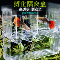Peacock Fish Gestation Mothers Maternity Box Isolation Network Multi-functional fish Fry Incubator Box Breeding Box Fish Production House Fish Tank Big