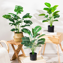 Simulation small green plant monstera potted indoor floor-to-ceiling office living room desktop decoration decoration fake plant landscaping