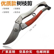 德国进口剪枝果树修枝剪刀园艺修剪树枝园林省力修花枝剪家用工具