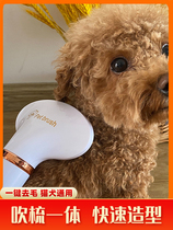 Dog Hair Dryer Lafur God Instrumental Speed Dry Bath Special Teddy Integrated Comb for store Silent Pet Large Dogs