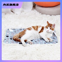 Pet electric blanket thermostatic waterproof kitty winter electric blanket dog warmer small timed heating pad