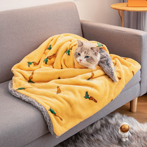 PET BLANKET DOUBLE LAYER THICKENED KITTY BLANKET DOG MAT SLEEPING MAT TOWEL BLANKET SMALL QUILT SLEEPING COVER BLANKET WINTER