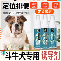Bulldog Special God Instrumental Guide to Toilet Fluid Positioning Pee-Urine Pull Poop-Inducing Agent pooch Relieving Point Training