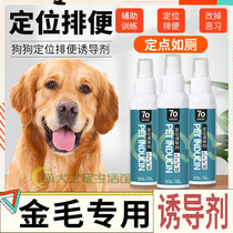 Golden Hair Special Inducers Dogs Relieving of Relieving Nature With the Divine Instrumental Urine Guide to guide the toilet Pets anti-dog urine