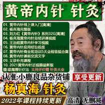 The Yellow Emperor Nepin Video Course Full Set Yang Jinhai Liu Li Hongwang Acupuncture-Moxibustion Acupuncture and Acupuncture of Traditional Chinese Medicine