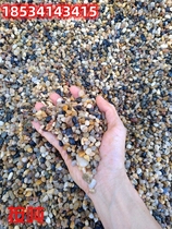 Natural pebble marsh filter stone warm to fill back with special bean water washing filter stone rainstone