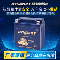 Suitable for Honda Silver Wing GT400 600 Xinyuan X5 XY400GY Silver Wing motorcycle battery