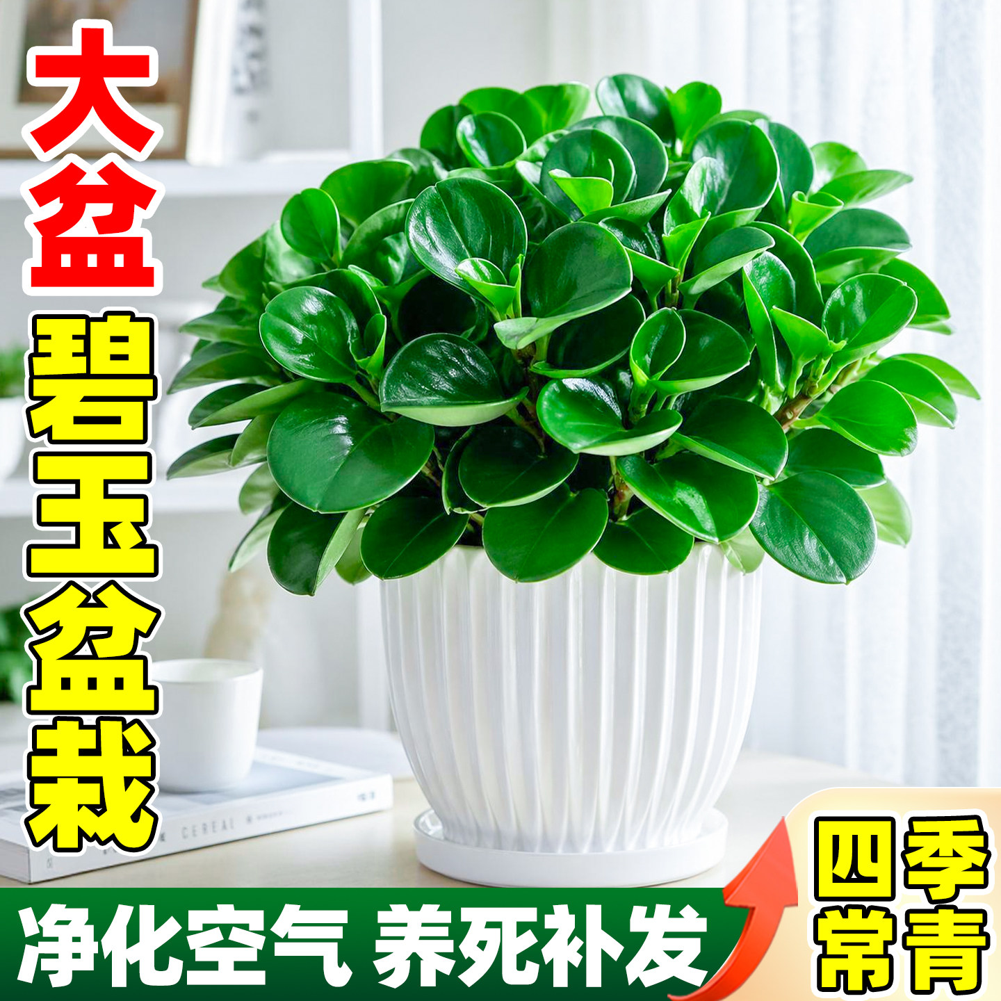玉石盆景-玉石盆景促销价格、玉石盆景品牌- 淘宝