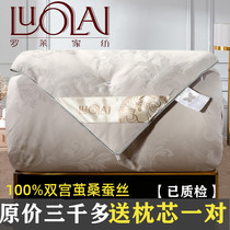 Rolaie Home Spun Silk Quilt 100% Mulberry Silk Spring Autumn Quilt Thickened Winter Quilt with Single Double Quilt Core