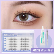 Cute Little Devil Fake Eyelash Womens Single Cluster Natural Emulation Graft Suit Self-Glued Fish Tail Fairy to pick up