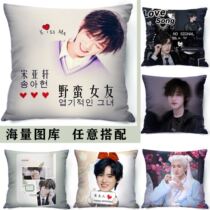 Song Yaxuan Hug Pillow Perimeter Era Juvenile Regiment bifacial to Tuding Do Cushions Pillow for Men and Women Birthday Gifts for Men and Women