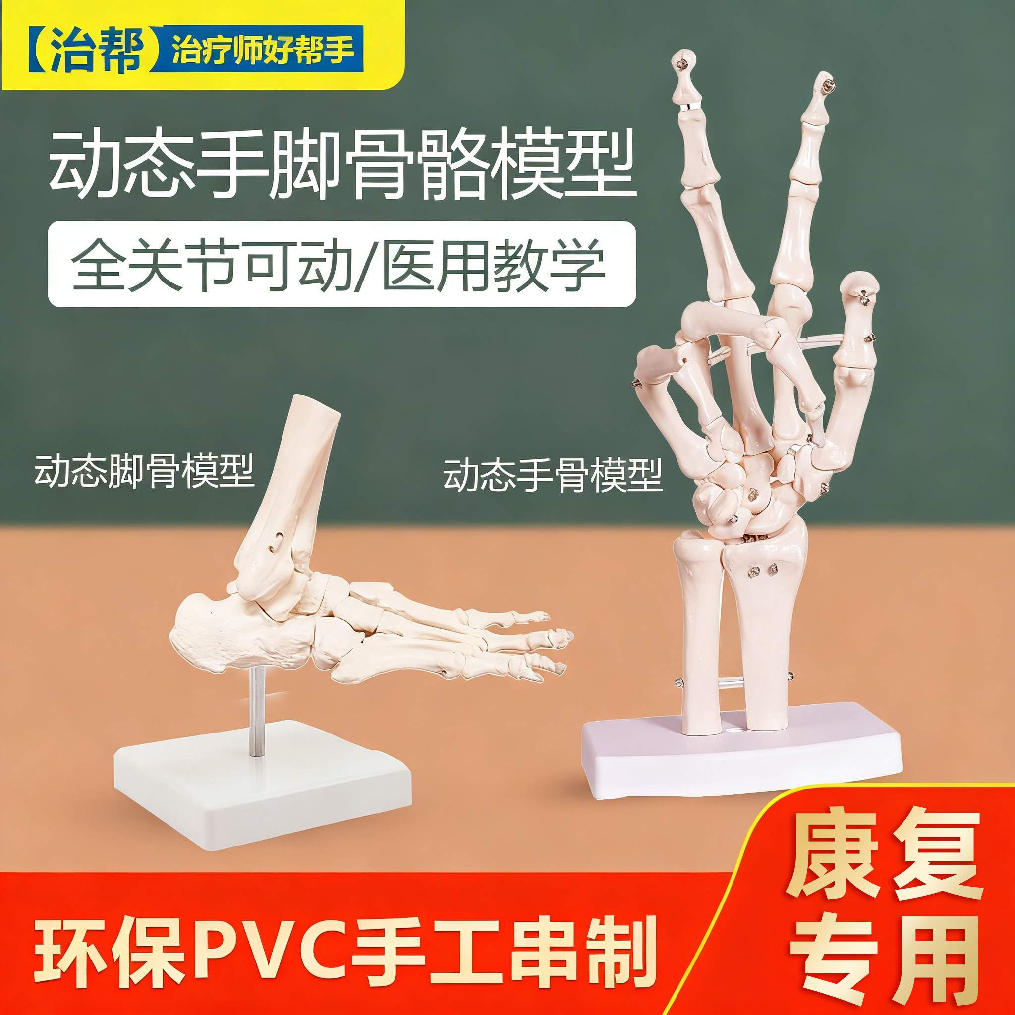 可拆卸骨骼模型-可拆卸骨骼模型促销价格、可拆卸骨骼模型品牌- 淘宝