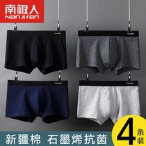 Underwear Mens Adult Flat Corner Pants Modale Or Pure Cotton Four-corner Pants Boys Inner Shorts Male