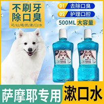 Samoye Private Oral cleaning Supplies Tooth Scale Dogs Mouthwash Apart From Mouthing to Tooth Stones Drinking To Taste
