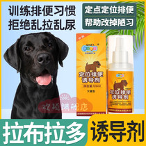 Labrador dedicated pooch on the toilet positioning defecation-inducing agent bowels with pets targeted urinals for urine training