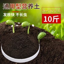 30 liters large bag of nutritious soil home gardening fertilizer general-purpose succulent flower vegetable green radish soil planting soil flower mud