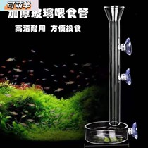 Fish tank glass feeding oesophageal crystal shrimp feeding basin glass pitcher fish grain feeding fish Shrimp Feeder feeding rings
