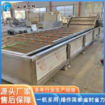 Supply leek bubble cleaning machine spinach washing machine stainless steel santo daughter washing pipeline