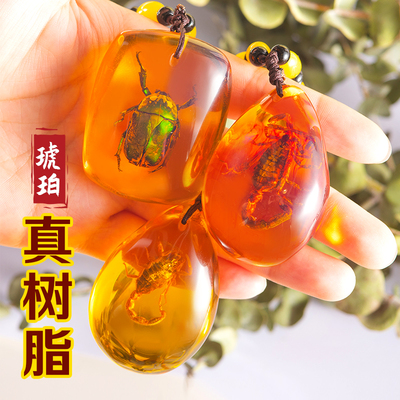 taobao agent Amber sample, pendant, popular science children's jewelry, Birthday gift