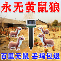 Drive away weasel artifact farm pigeon coop chicken coop chicken ring weasel nemesis solar ultrasonic drive