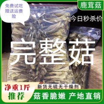 Antler Mushrooms Dry Goods 500g Antler Fungus Special Grade Antler Mushroom Pot Soup Ingredients Edible Mushrooms Mushrooms Wild Mushrooms Mushrooms