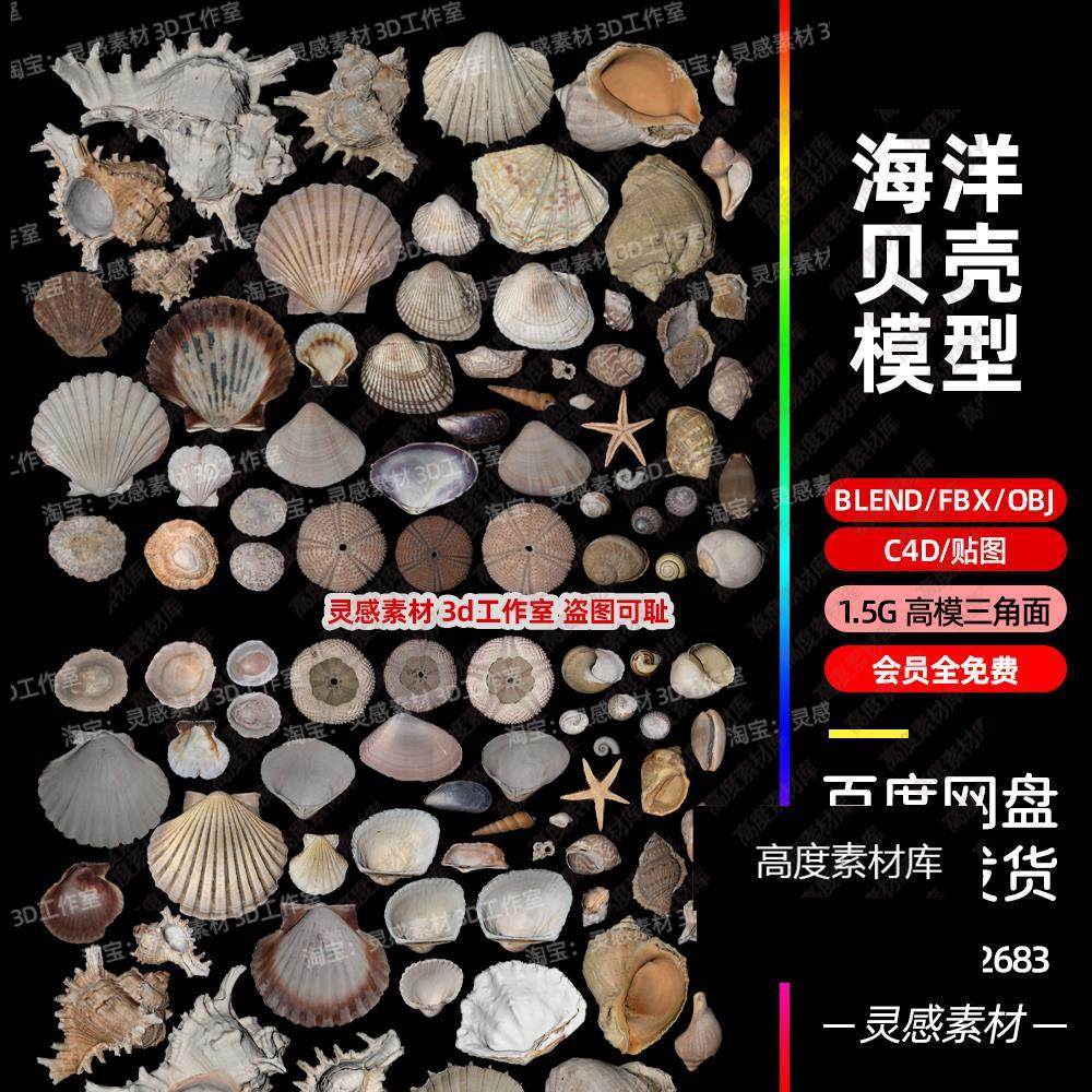 Shell Spiral Conical Shell Sea Ocean 库存矢量图（免版税）1607295892 | Shutterstock, image size:1000x1000