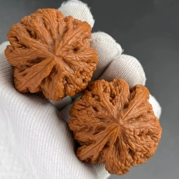 平谷大粗筋核桃-平谷大粗筋核桃促销价格、平谷大粗筋核桃品牌- 淘宝