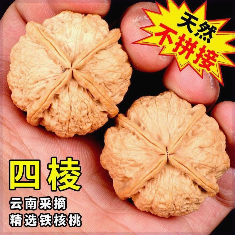 铁核桃：极品正三棱 四棱铁核桃-四棱铁核桃促销价格、四棱铁核桃品牌- 淘宝