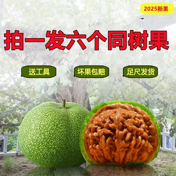 官帽核桃-官帽核桃促销价格、官帽核桃品牌- 淘宝