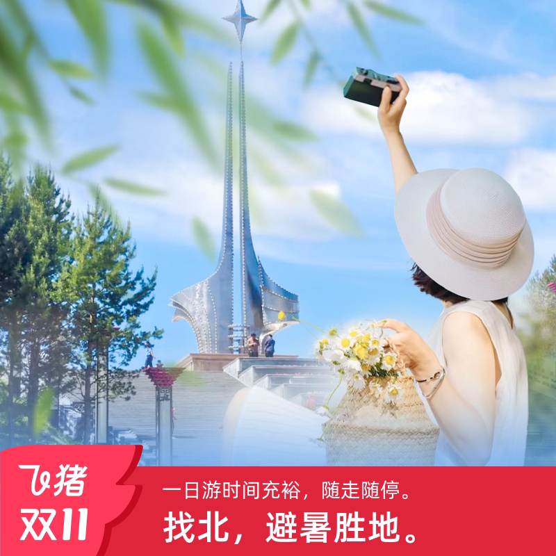 北极村的神秘之旅:漠河北极村一日游跟团游黑龙江漠河北极村1日游鹿苑找北极光🌟-旅游-淘宝好物网